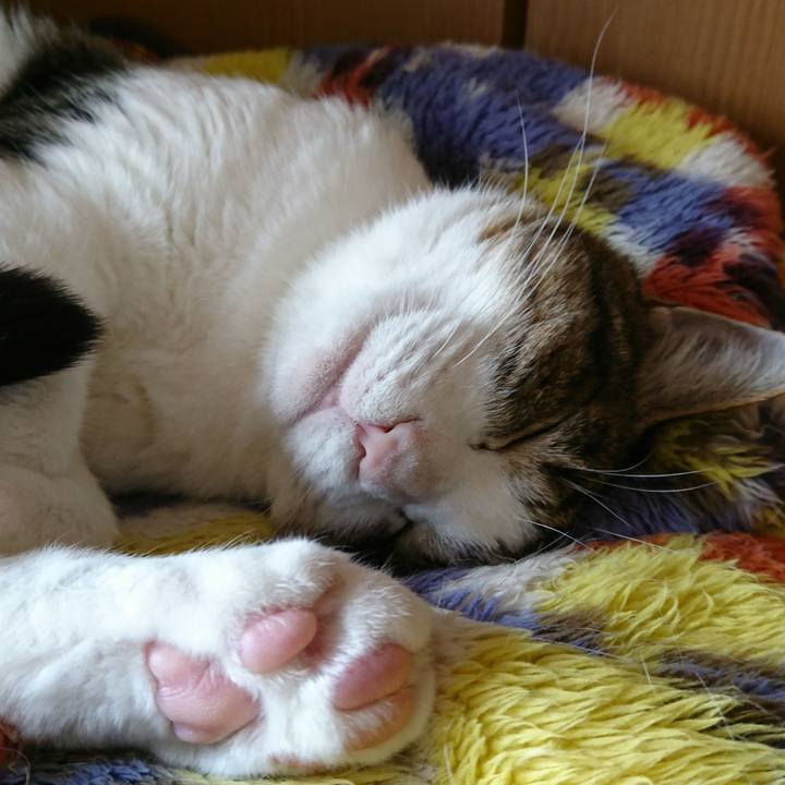 224b861e 500f 4fae a35f 81ed6afd09aa 1511701213857