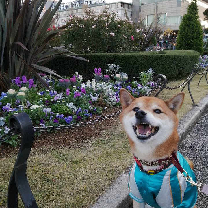 224b8dda 1c22 4654 a38c 85d05ac41cef 1639365040151