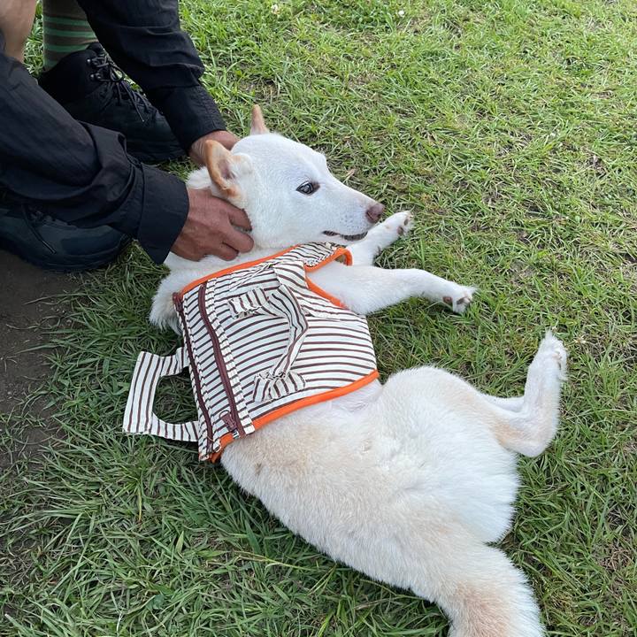 224bde24 247e 4476 beeb 21077428990c 1655044886689