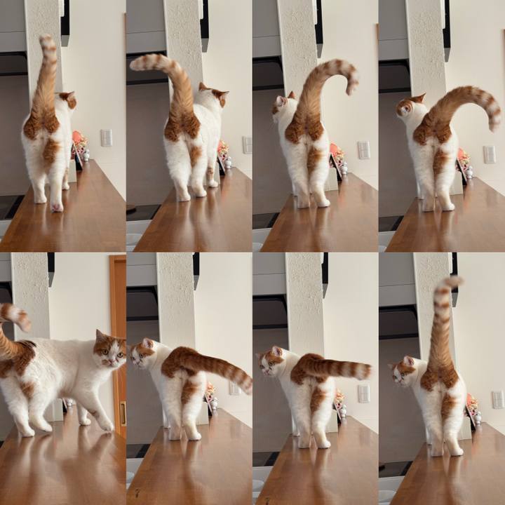 224bfb95 53fa 4a49 b009 19aa73bb6fd9 1765161427102