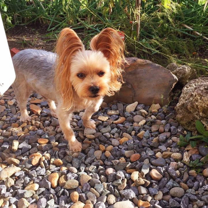 224bfcc0 7848 4ae3 8e5e 49afa35a75ba 1536399106484