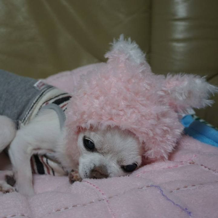 224c035e cd4a 4677 9adf 4c5aa486aa43 1536012478178