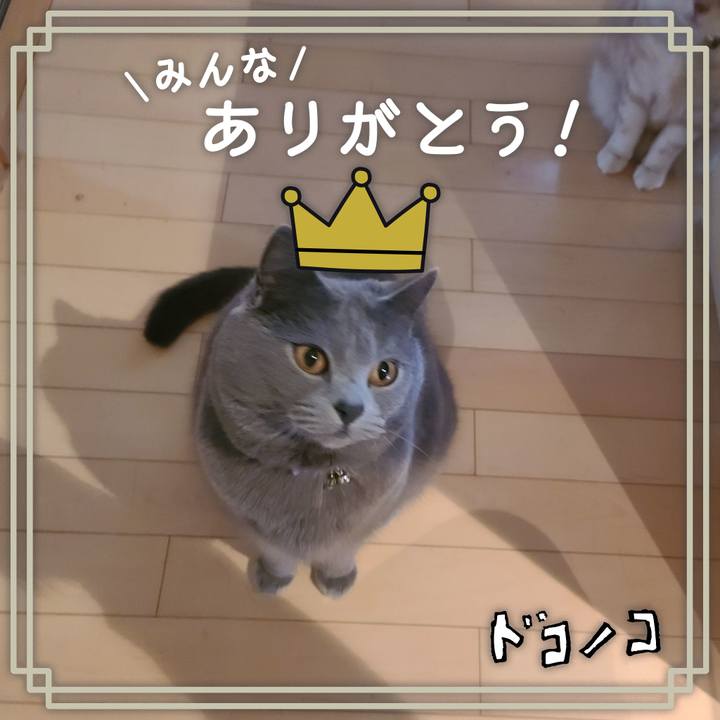 224c7023 57e3 47e9 9771 6b5049b08487 1622977911422