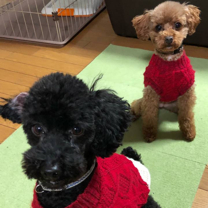 224cbc80 51f6 44cb bae9 d4f66ef95f4f 1547112234295