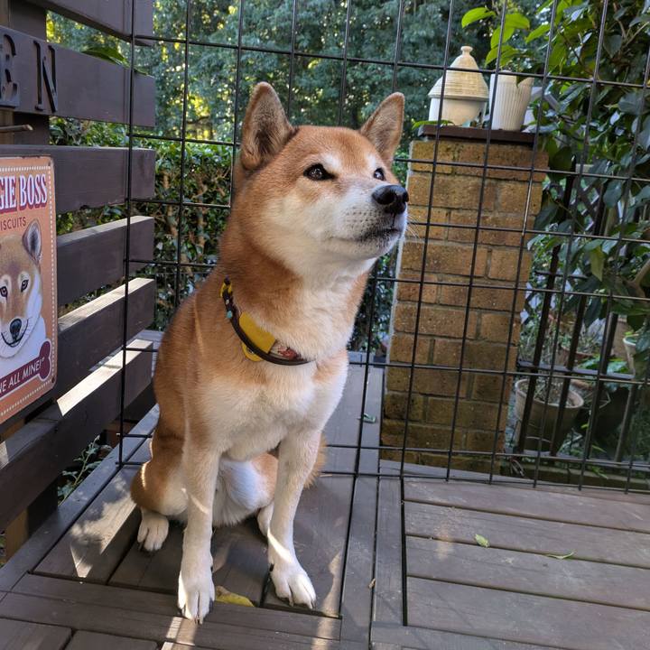 224cc098 c40b 4781 bddc 13139e7e5004 1732498072553