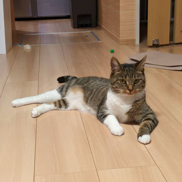 224cd5a4 8d1f 4d08 819c 9bb179410d8a 1691243876267