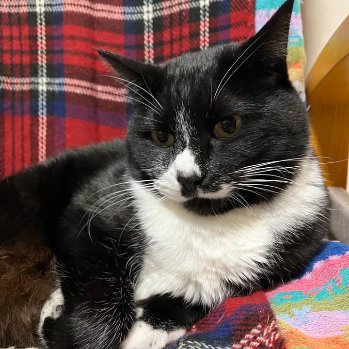 224cfbf9 90f3 4da3 9229 721bac2e9293 1744598834612