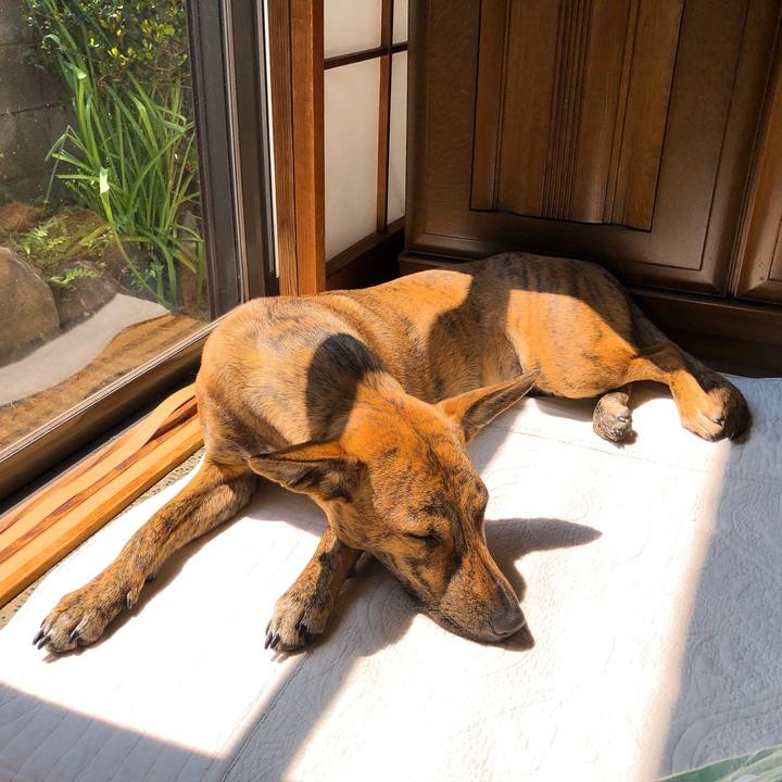 224d0729 26db 4ef9 bd8d 9f9b30d59fd7 1587992920111