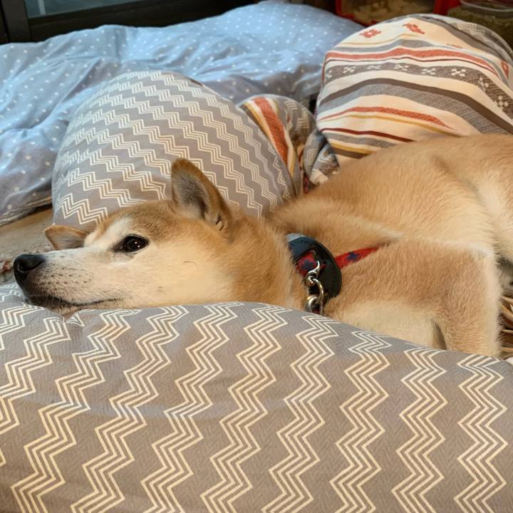 224d192c 7bfc 426c 9cfa d8be1361ed42 1687510946285