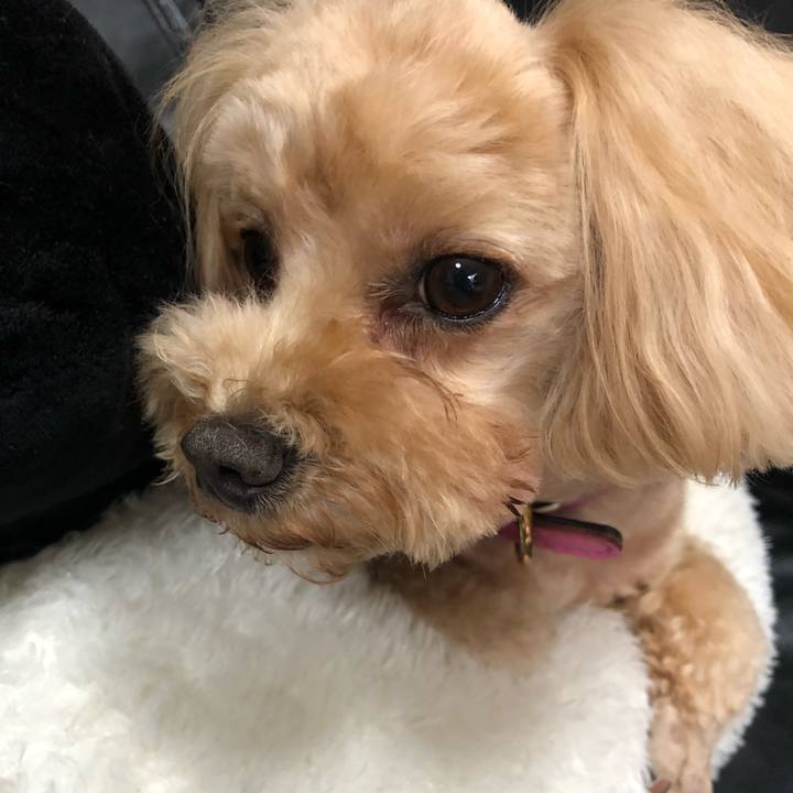 224d22a3 0592 4bf6 b687 7fa317b7cba8 1683423884052