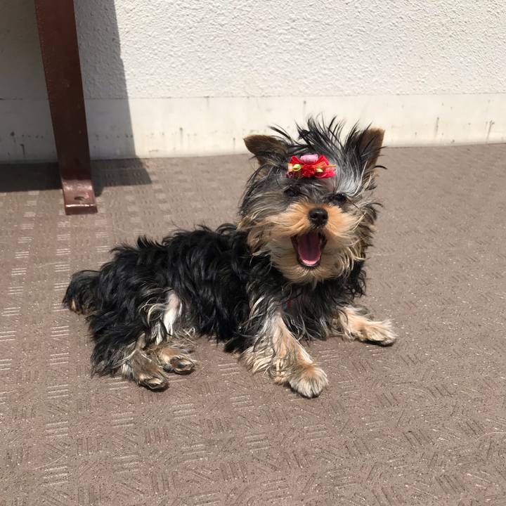 224d53f1 2683 47f8 ba24 3aa5a623a9e4 1619256188952