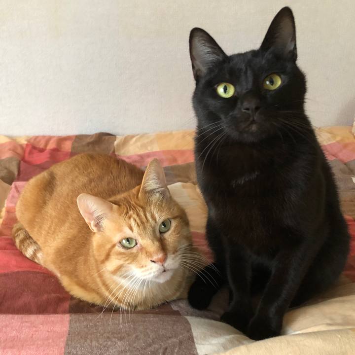 224d68c9 475c 4032 831b 84294831d9f0 1667012021372