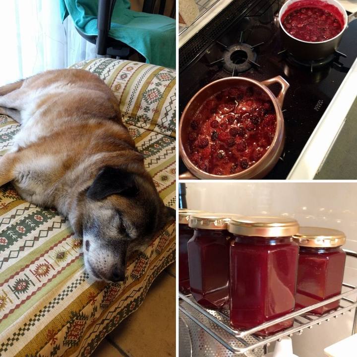 224d9263 1bb6 46f1 bd1c 8213d9115f9c 1531117348973