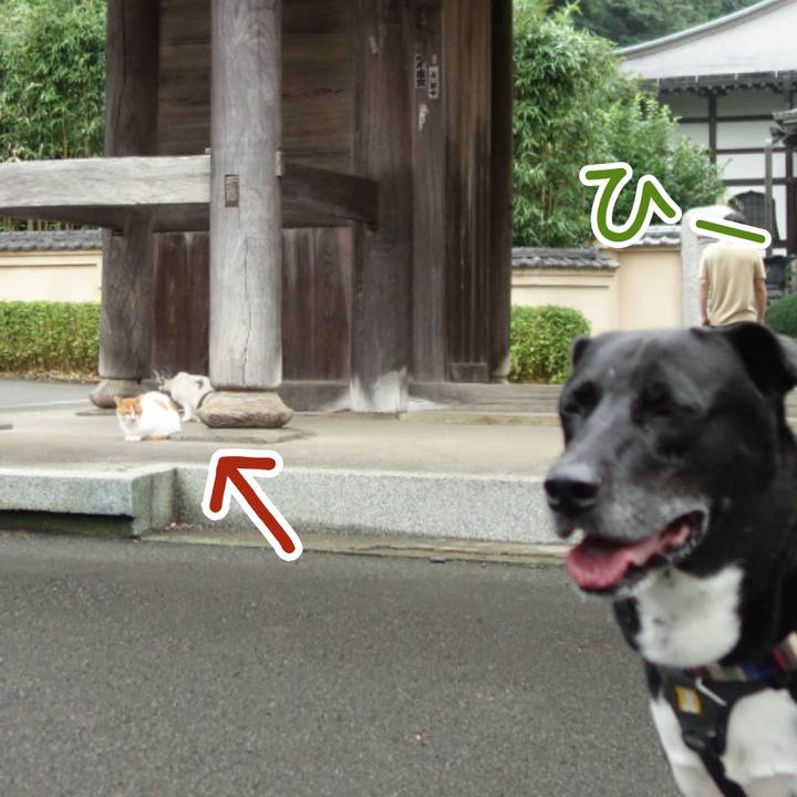 224dcfff 31ae 4d1c 8d4b eb9da7510d17 1663458832130