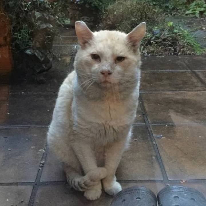 224ddf5f ce04 43c8 b4a7 77e070a1d1f8 1586169080495