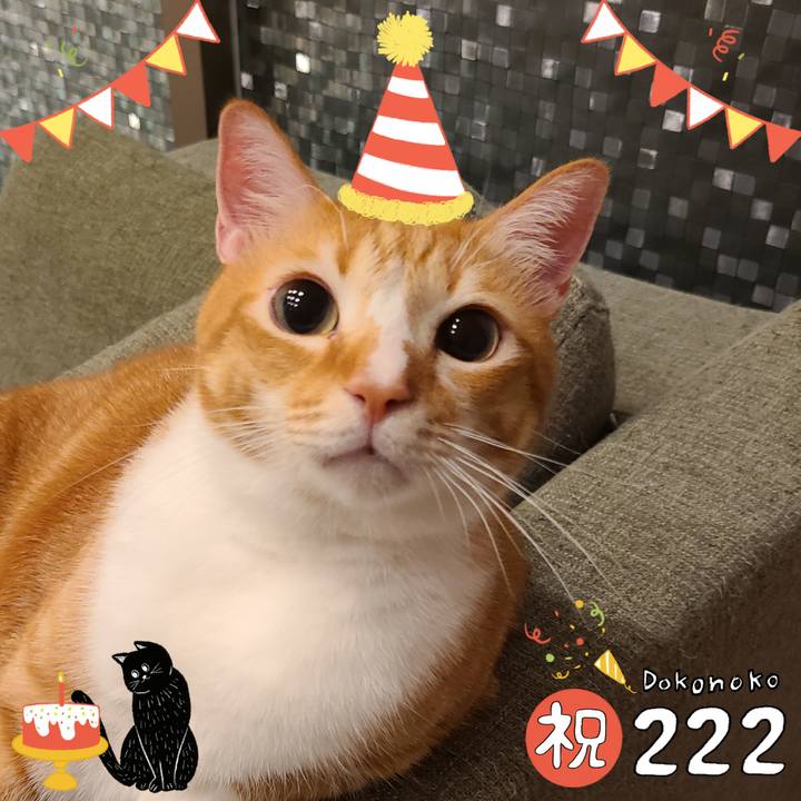 224e0dac 0ee3 49b0 ba63 925415dc6c80 1645536019118