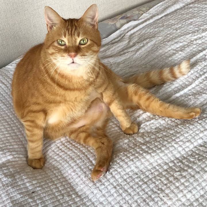 224e310f 6e55 4c75 a828 14577fa5333c 1624522731756