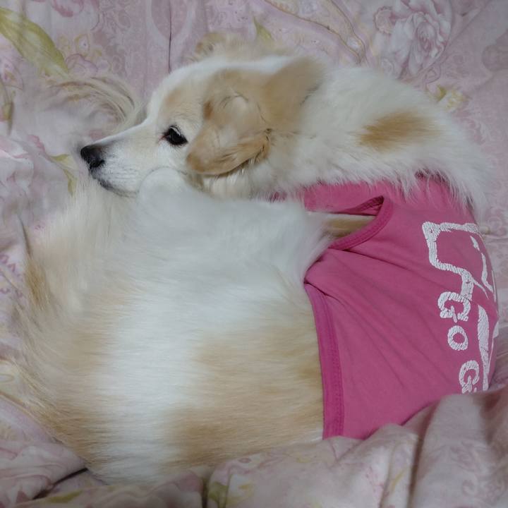 224e340e 779e 4524 bee3 a6483bd79896 1641332694739