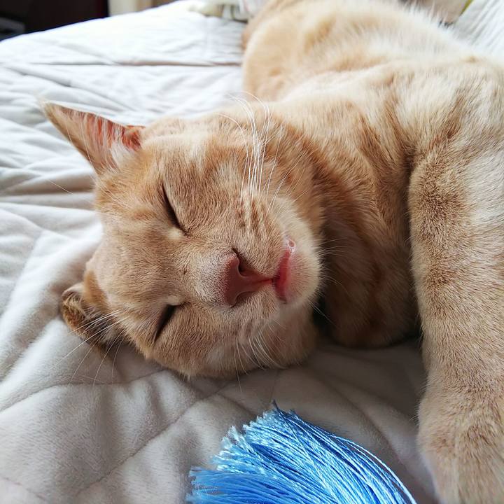 224e4da7 8615 415e 9bba fe23709502ab 1597960168853