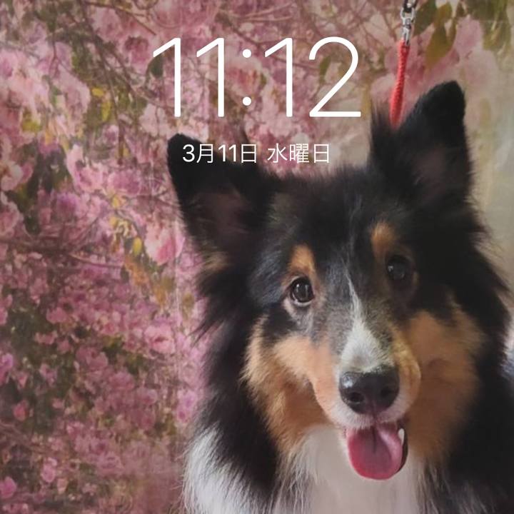 224e557a 2058 4105 8971 175799d26809 1583892832856