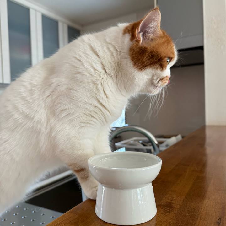 224e6aa8 c027 4378 a4a5 7a3685f323cc 1770346010678