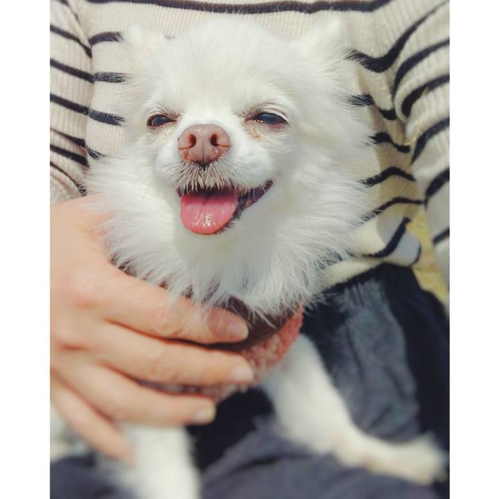 224e6c46 50ec 4bce 98d3 46e83362060e 1677148351263