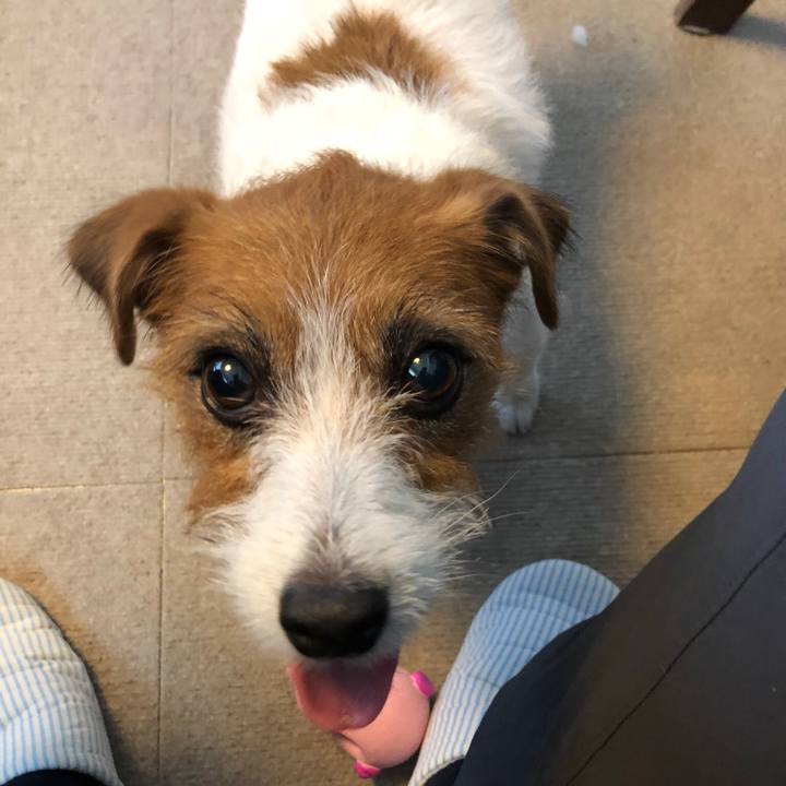 224eaaf4 8651 416c 8ed3 85a2201df62e 1538820115873