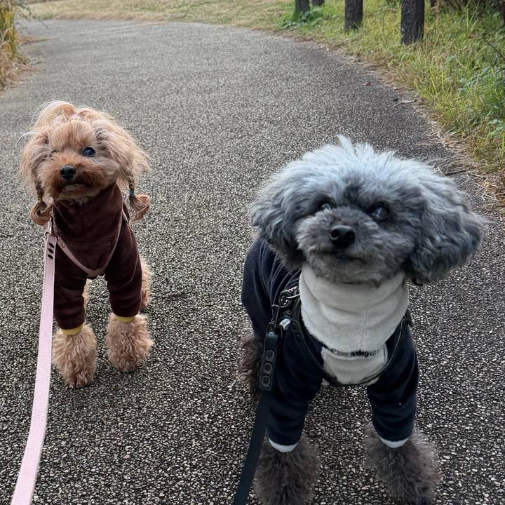 224ede39 0971 456e 92c0 4515307d61e9 1766013935856