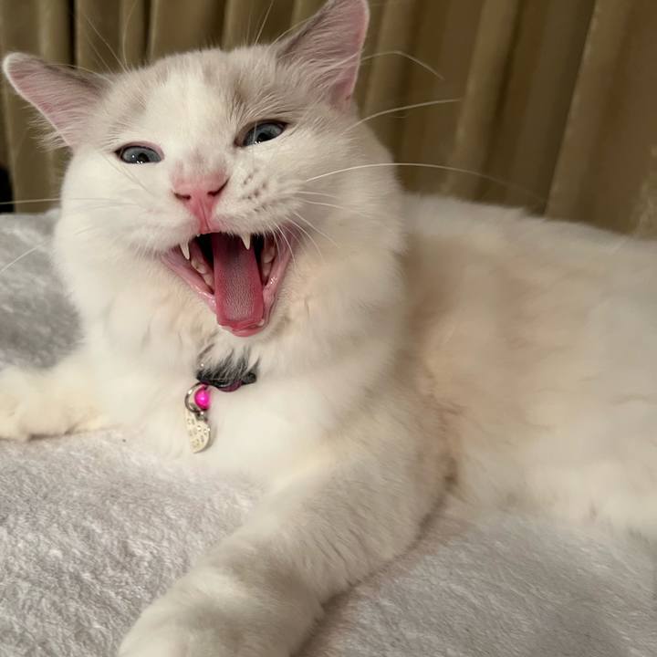 224ef15e 35b1 406c 9bec aa5df45d6e86 1663800781345