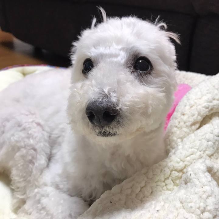 224f00d4 4f0f 45e4 b4ce bab3e7eafd7b 1510065688093