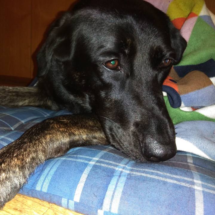 224f0c67 bf0b 4b96 89fd 163613367a28 1540029090277