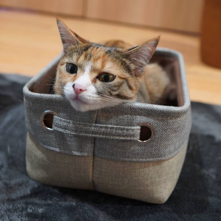 224f19f3 876f 4158 8355 080dafc10541 1584153280984