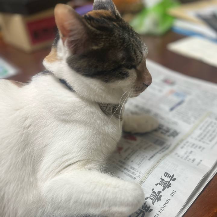 224f237c 36d8 4fbd a9be 439d19a7a0cd 1771583765142