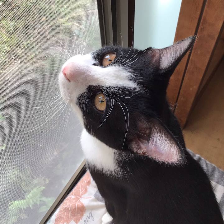 224f2ec7 f0e9 42d4 b7f5 0ef64f706c33 1634169154610