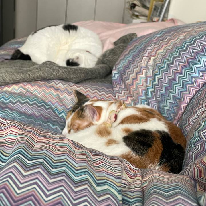 224f8347 4342 4420 b824 d1bc74c5feab 1644718162243