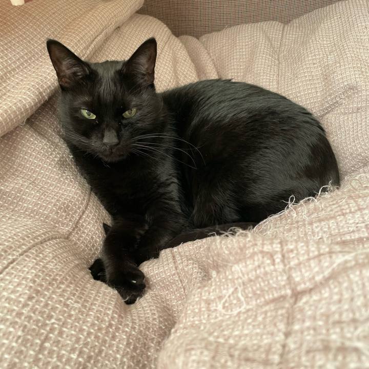 224f9e93 bc01 48a4 a753 93902a5bc31c 1667572686247