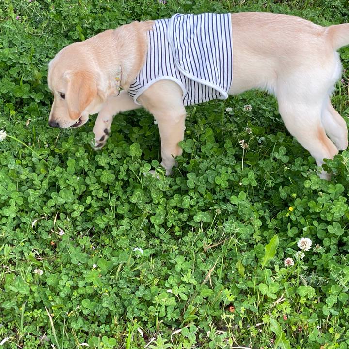 224fab68 7818 4582 8e05 7e99f9e3dc19 1617439995739