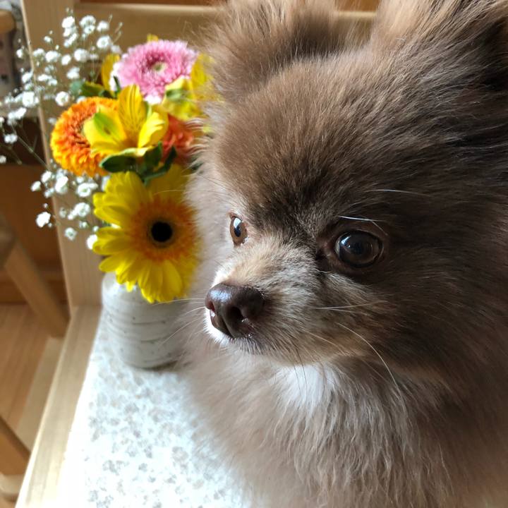 224fb264 3f22 4417 9255 46807fba17cb 1586656797225