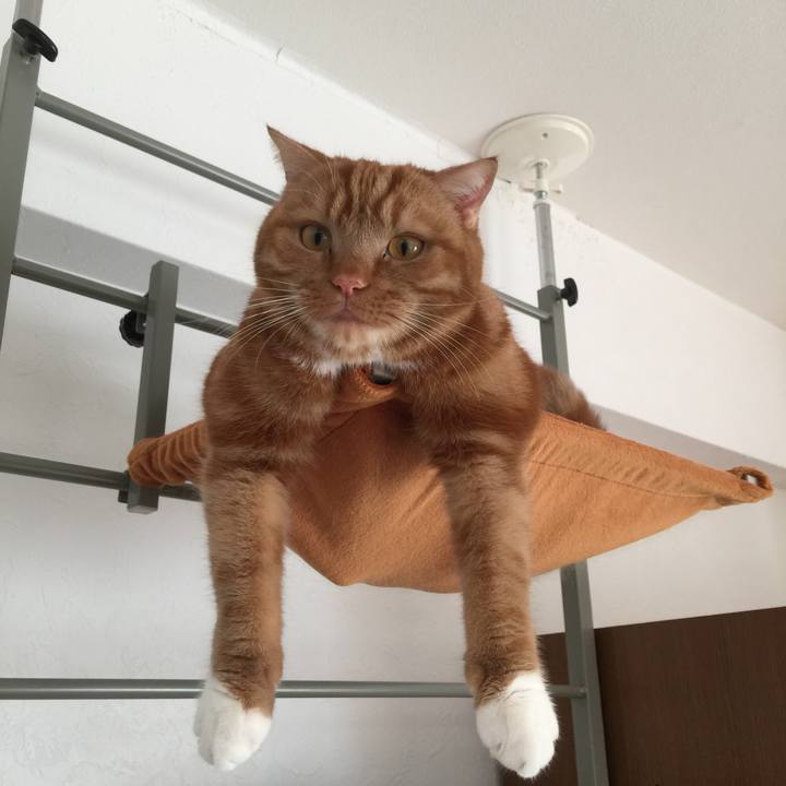 224fbc14 a5fe 43a0 8e10 9d2e3f794a2a 1545869346986