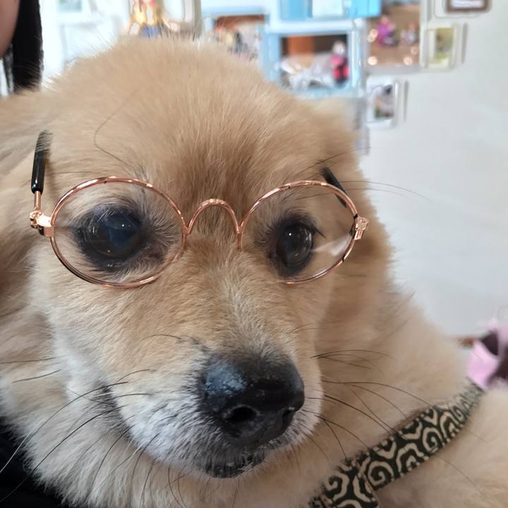 224fbf3f 56f6 410c a392 393a03011b6a 1573642888312