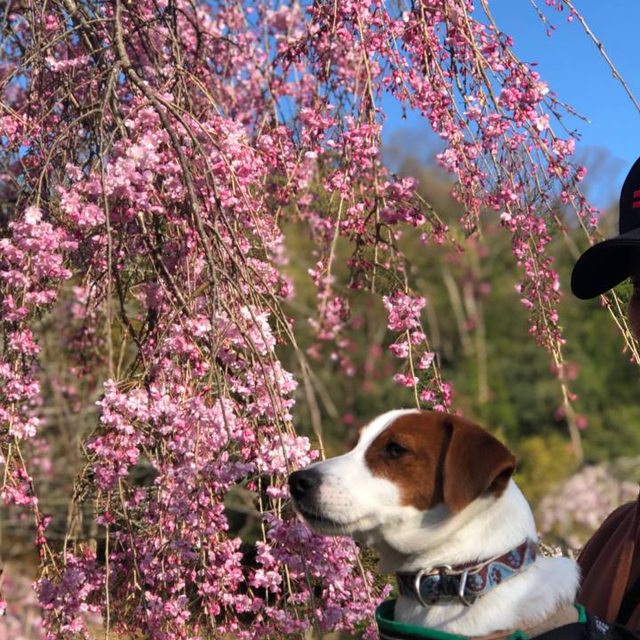 224fc95a b9b0 454c 936f a2fc2101cda8 1554771601928