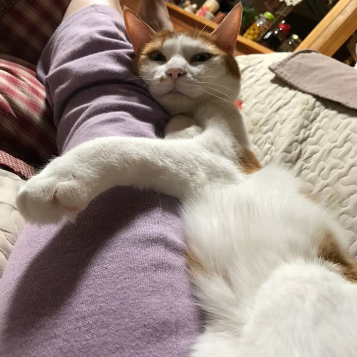 224fdc01 ea45 4588 af1d 30543480becc 1541684719821