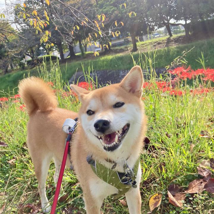 22501109 0f71 4a92 8035 9c063b9cc0de 1664332542136