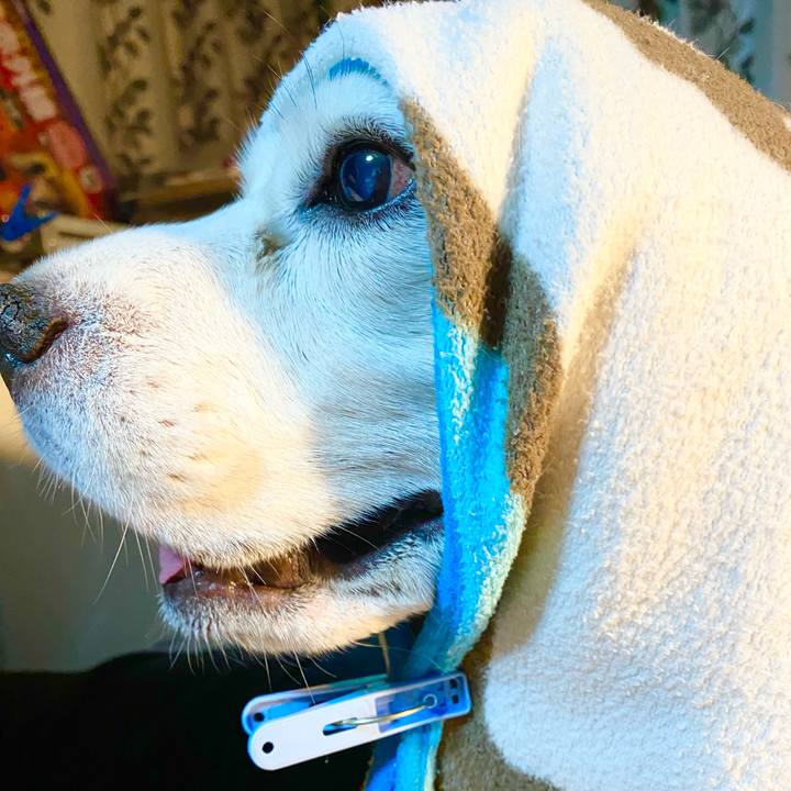 22503357 b585 4d0c 9f8f cfdabfbd1899 1668953051272