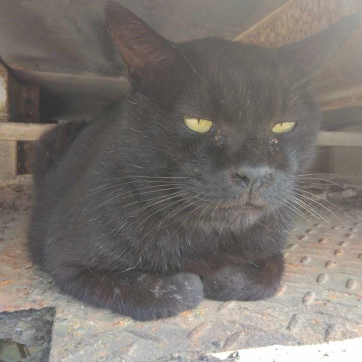 22504566 9f5a 4699 97e4 cdf09da8dea5 1726547993562