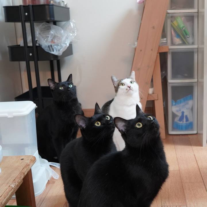 2250520a d913 4150 b150 feb0e0bdb528 1583717696071