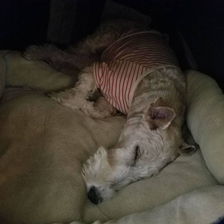 22506c6d 11cd 4ddf b5c2 5cd288ee8905 1510845013944