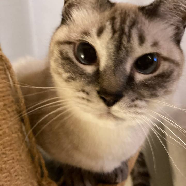 22507444 cfab 4201 8bdd 621e61fd2f91 1665150678895