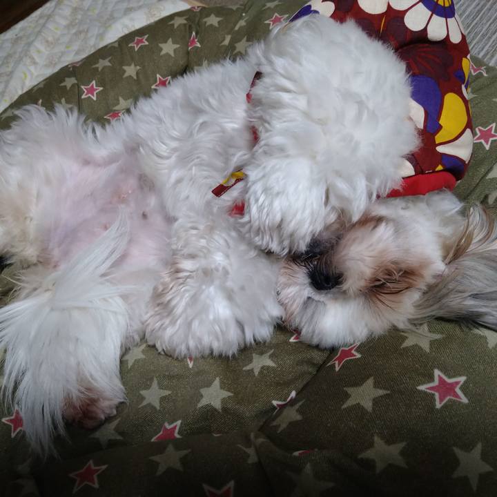 22507818 2f11 440d 88a9 b181f41a11f4 1610810292398