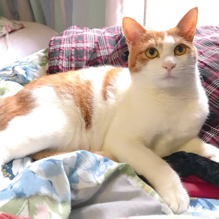 2250935a 7e90 4465 869d 593363269dc5 1508649091440